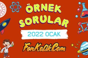 2022 Ocak MEB LGS Örnek Soruları