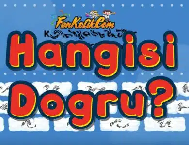 6.Sınıf 2.Ünite Hangisi Doğru Oyunu