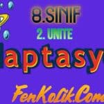 8.Sınıf 2.Ünite Adaptasyon