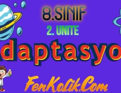 8.Sınıf 2.Ünite Adaptasyon