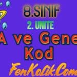 8.Sınıf 2.Ünite DNA ve Genetik Kod