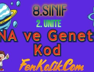 8.Sınıf 2.Ünite DNA ve Genetik Kod