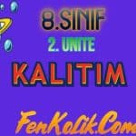 8.Sınıf 2.Ünite Kalıtım