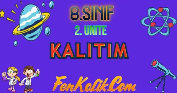 8.Sınıf 2.Ünite Kalıtım