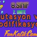 8.Sınıf 2.Ünite Mutasyon ve Modifikasyon