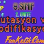 8.Sınıf 2.Ünite Mutasyon ve Modifikasyon
