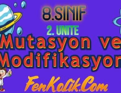 8.Sınıf 2.Ünite Mutasyon ve Modifikasyon
