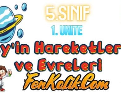 Ay'ın Hareketleri ve Evreleri