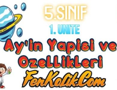 Ay'ın Yapısı ve Özellikleri