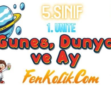 Güneş, Dünya ve Ay