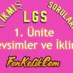 1.Ünite Mevsimler ve İklim Çıkmış LGS Soruları