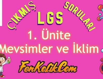 1.Ünite Mevsimler ve İklim Çıkmış LGS Soruları