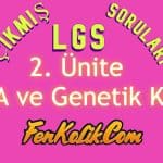 2.Ünite DNA ve Genetik Kod Çıkmış LGS Soruları
