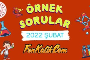 2022 Şubat Ayı Fen Bilimleri Örnek Soruları Kağıt Dostu