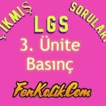 3.Ünite Basınç Çıkmış LGS Soruları