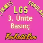 3.Ünite Basınç Çıkmış LGS Soruları