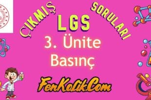 3.Ünite Basınç Çıkmış LGS Soruları