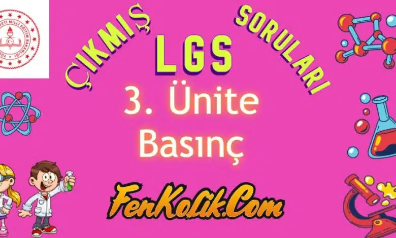 3.Ünite Basınç Çıkmış LGS Soruları