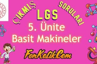 5.Ünite Basit Makineler Çıkmış LGS Soruları