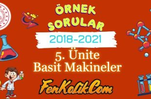 5.Ünite Basit Makineler LGS Örnek Soruları