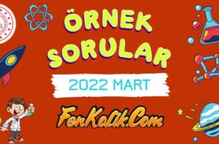 2022 Mart MEB LGS Örnek Sorular