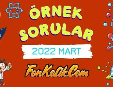 2022 Mart MEB LGS Örnek Sorular