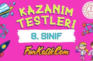 8. Sınıf Fen Bilimleri MEB Kazanım Testleri