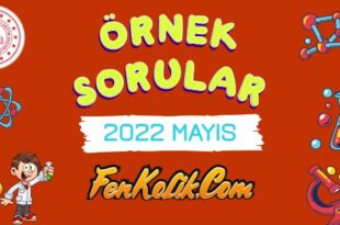 2022 Mayıs Ayı Fen Bilimleri Örnek Soruları Kağıt Dostu