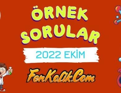 2022 Ekim MEB LGS Örnek Soruları