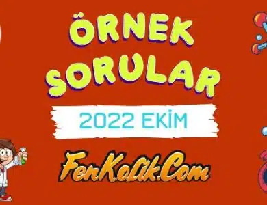 2022 Ekim MEB LGS Örnek Soruları