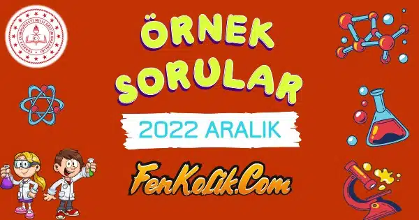 2022 Aralık MEB LGS Örnek Soruları