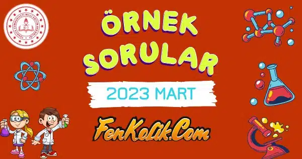 2023 Mart Ayı Fen Bilimleri Örnek Soruları