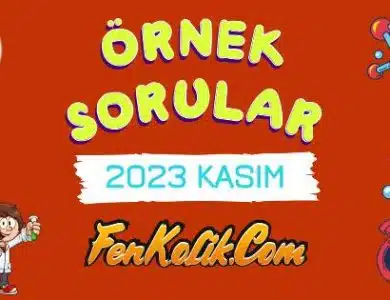 2023 Kasım MEB LGS Örnek Soruları